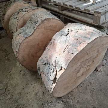 4 grube plastry klonu