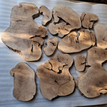 Archipelag plastrów z orzecha 11szt.