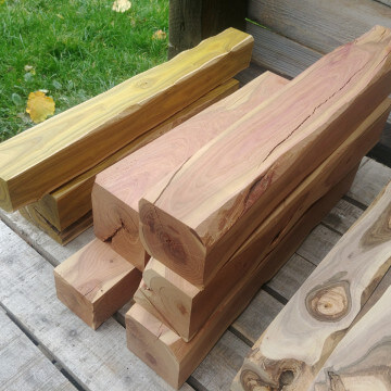 Kantówka Szlachetne gatunki