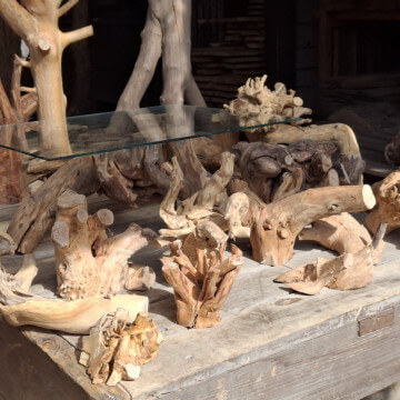 Korzenie niedużych rozmiarów