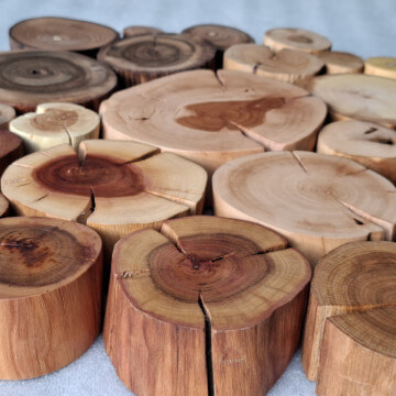 Krążki z drewna owocowego i ogrodowego