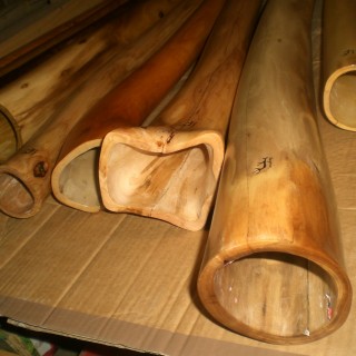 Didgeridoo 10 pieces - different tones and types of wood