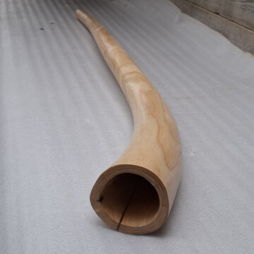 Didgeridoo Ash 175cm