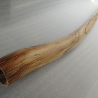 Didgeridoo Walnut 182cm