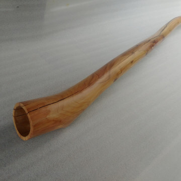 Didgeridoo Plum