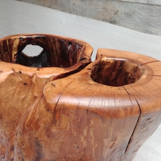 Apple tree trunk pot