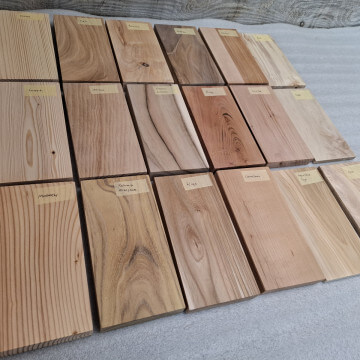 Xylotheca of&nbsp;18 wood species