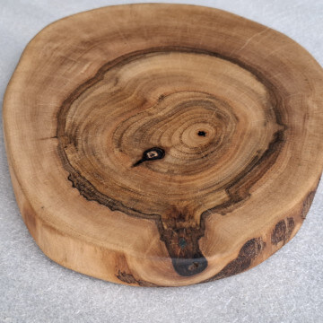 Walnut slice kitchen coaster 20 x 2cm
