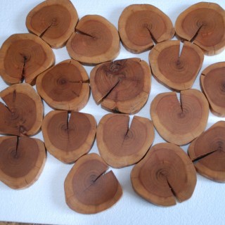 Coasters Cherry wood 11 cm