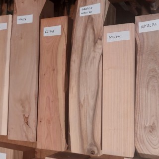Wood samples of&nbsp;18 species